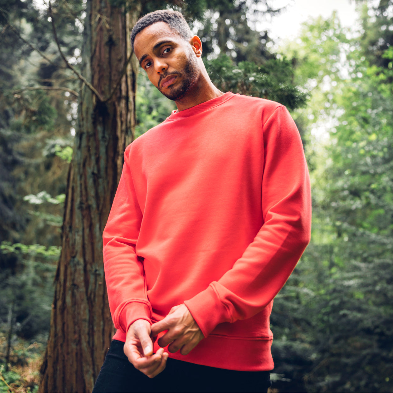 Fühl dich wohl mit bequemen Herren Sweatern & Hoodies aus Holzfasern. Warm, weich und nachhaltig – perfekte Mode für Komfort und Umweltschutz.