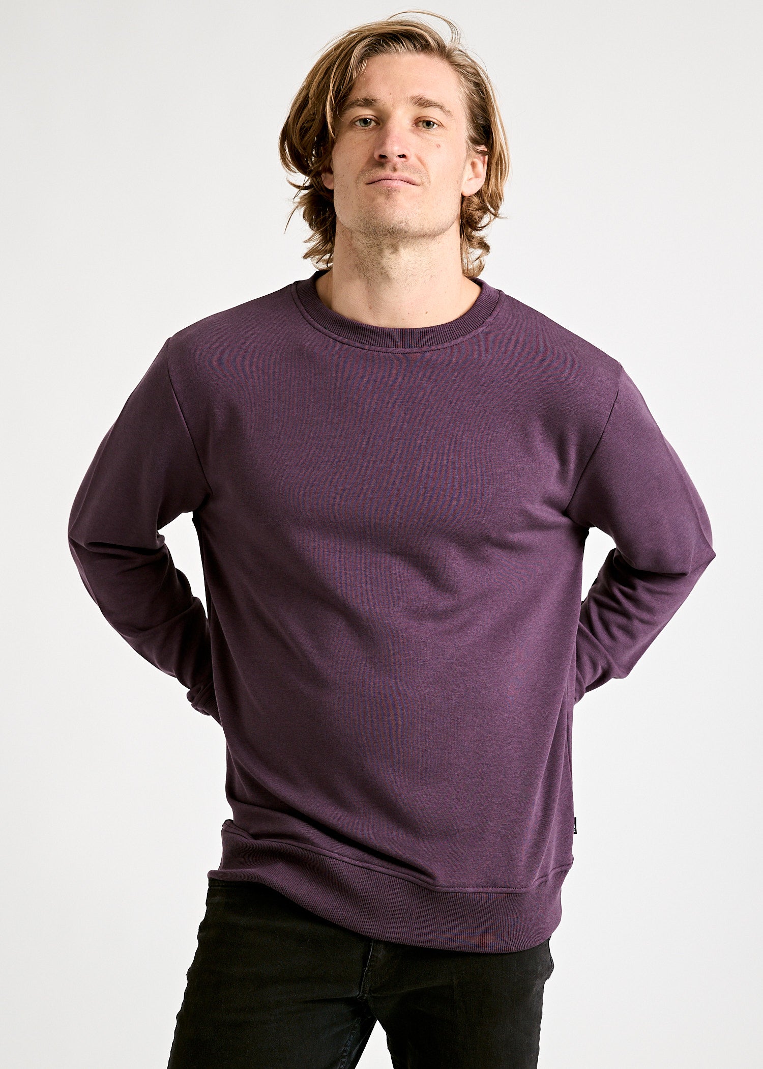 MEN'S SWEATER TILL PURPLE
