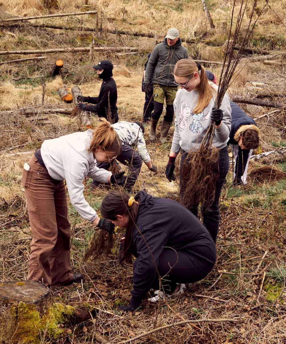 wijld.com Nachhaltige Kleidung aus Holz - wir pflanzen einen Wald